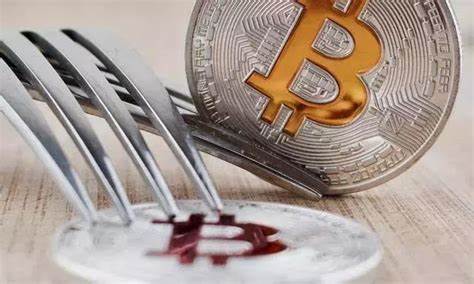 Who is buying big as Bitcoin falls?(USA)